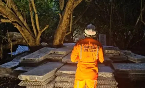 
				
					Resgate de jovem em cima de árvore já dura mais de 60 horas na Bahia
				
				