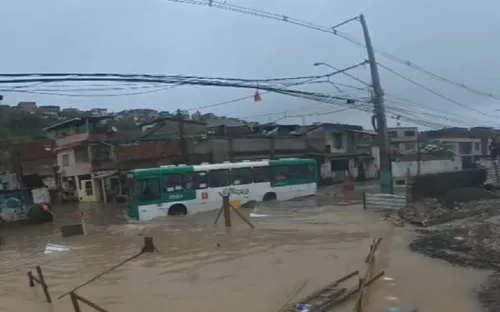 
					Salvador registra 76% do acumulado de chuva esperado para novembro
				
				