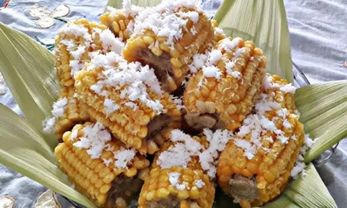 
				
					São João: aprenda a fazer Milho Verde cozido no leite de coco
				
				