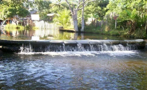 
					Segredos do Nordeste: lugares paradisíacos na Bahia além das praias
				
				