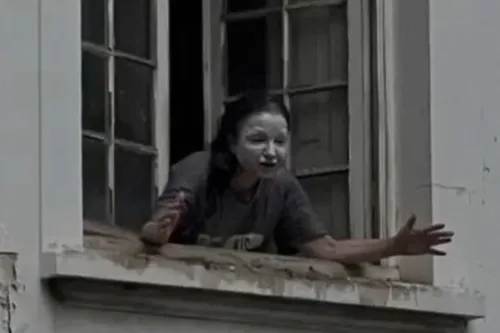 
					Série 'A Mulher da Casa Abandonada' estreia no streaming
				
				