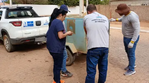 
					Sete cachorros morrem após serem envenenados na Bahia
				
				