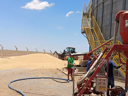 
					Trabalhador morre após cair em silo de soja em fazenda na Bahia
				
				
