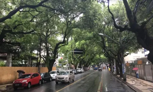 
					Transportes de Salvador sofrem alteração no domingo (30); saiba mais
				
				