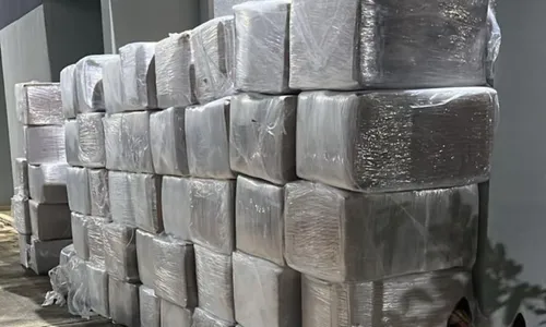 
				
					Três toneladas de maconha são interceptadas em ação integrada na Bahia
				
				