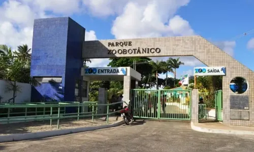 
				
					Zoológico de Salvador reabre após três meses de reforma
				
				