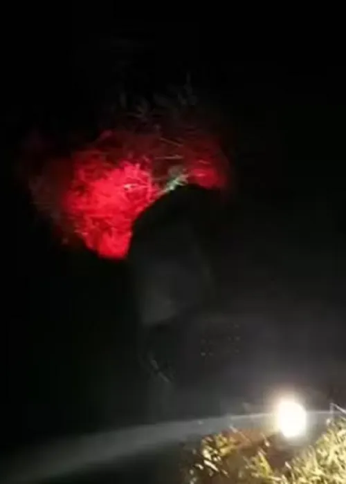 
					Carros caem de ponte após colisão na Bahia; acidente teve 5 veículos
				
				