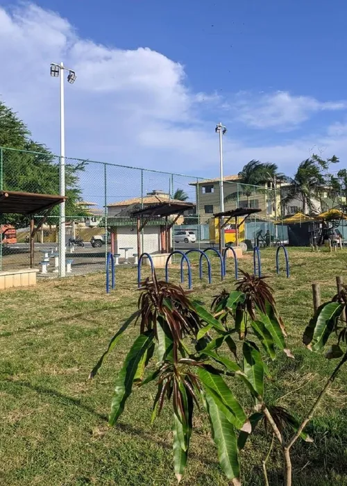 
					Cinco locais para os pets se divertirem em Salvador
				
				
