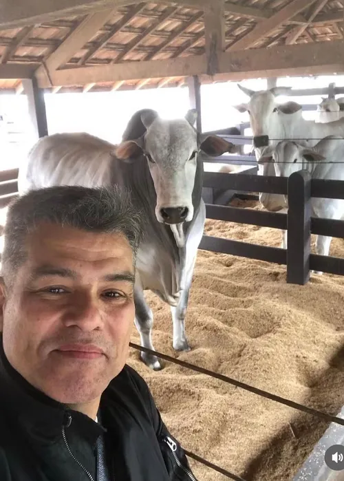
				
					Maurício Mattar explica sumiço da TV e faz revelação de 'A Viagem'
				
				