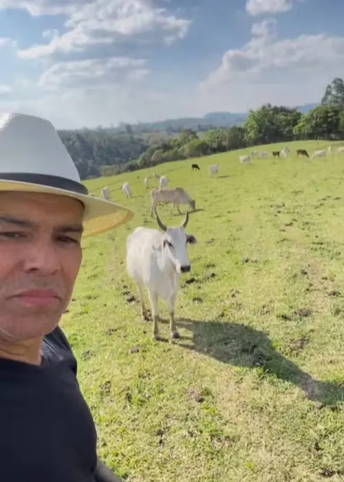 
				
					Maurício Mattar explica sumiço da TV e faz revelação de 'A Viagem'
				
				