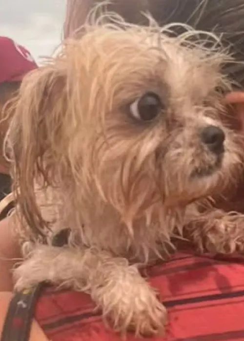 
					O que se sabe sobre o assassinato de três mulheres em Ilhéus
				
				