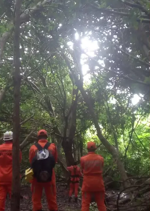 
				
					Resgate de jovem em cima de árvore já dura mais de 60 horas na Bahia
				
				
