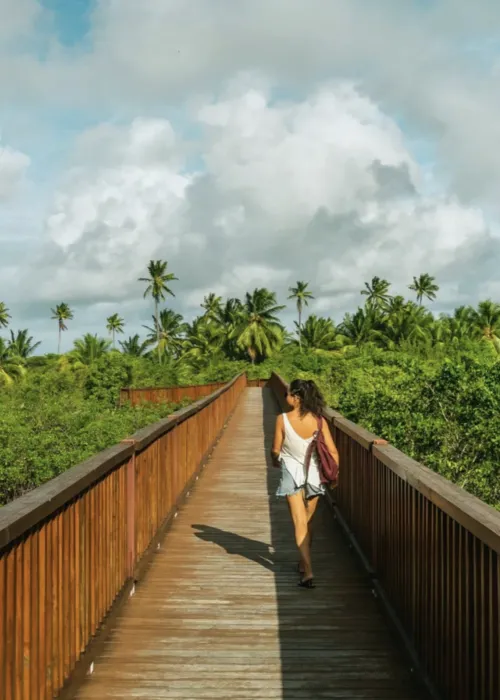 
					Seis hotéis e casas com atendimento diferenciado perto de Salvador
				
				