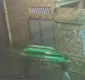 
                  Homens furtam e fogem com barco na cabeça em Salvador