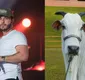 
                  Murilo Huff compra vaca por R$ 17 milhões após briga com ex-sogra