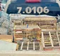 
                  Nove são detidos ao tentar vender mais de 250 aves silvestres na Bahia