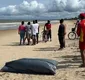 
                  Pai e filho morrem afogados após mergulho em praia turística na Bahia