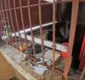 
                  Pastelaria é arrombada, saqueada e incendiada em bairro de Salvador
