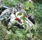 
                  Técnica de enfermagem morre após carro cair em mata na Bahia