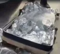 Dois homens são presos com 60 kg de maconha em carro e casa na RMS
