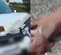 Filho de Neto Araújo sofre acidente a caminho do velório do pai