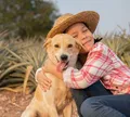 São João: curso de Veterinária da UniFTC orienta como proteger animais