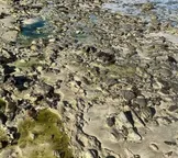 Pescadores cobram ações após contaminação da praia de São Tomé