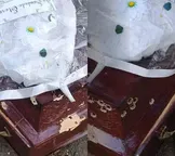 Suspeito de atacar caixão a tiros morre em confronto na Bahia