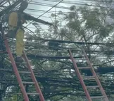 Técnico fica preso em fios de poste e leva choque em Salvador