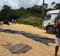 Carreta carregada com soja tomba e provoca congestionamento na BR-324