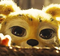 Marsupilami: live action chega aos cinemas de Salvador