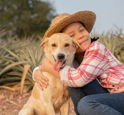 São João: curso de Veterinária da UniFTC orienta como proteger animais