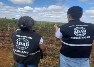 Bahia reabre concurso com 200 vagas e salários de até R$ 7,4 mil