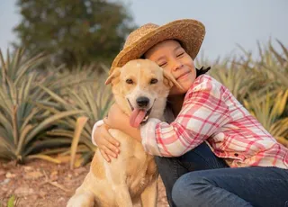 São João: curso de Veterinária da UniFTC orienta como proteger animais