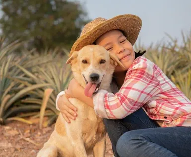 São João: curso de Veterinária da UniFTC orienta como proteger animais