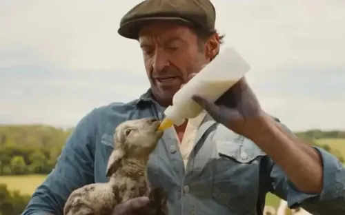 
					As Ovelhas Detetives: Hugh Jackman estrela fábula policial com ovelhas
				
				