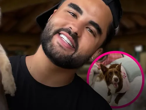 
					Lucas Guedez se revolta após ser acusado de abandonar cachorra
				
				