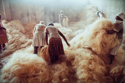 
					De Bienal do Livro a Ana Carolina: Agenda Cultural de Salvador e RMS
				
				