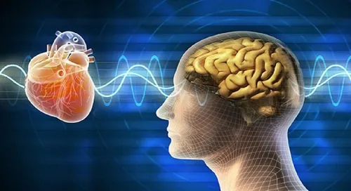 
					Desmaio de Ivete Sangalo: o que é síndrome vasovagal, causa do susto
				
				