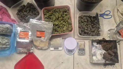
					Homem é preso com estufa de maconha em imóvel na Bahia
				
				