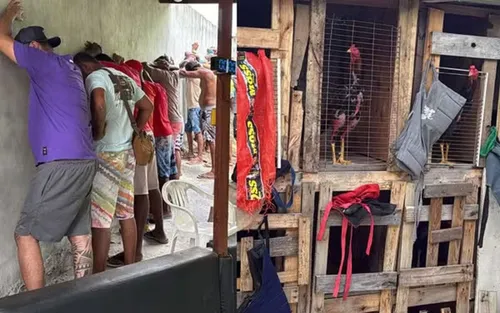 
					Mais de R$ 150 mil são apreendidos em rinha de galos em Salvador
				
				