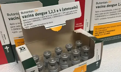 
					Salvador inicia imunização contra a dengue com vacina brasileira
				
				