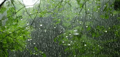 
					Sobrevivi a uma cabeça d’água
				
				