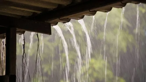 
					Sobrevivi a uma cabeça d’água
				
				