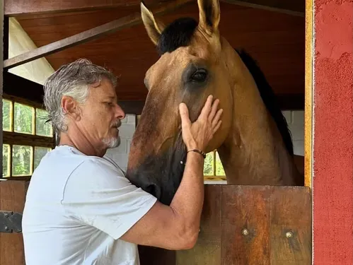 
					Solteiro, Marcello Novaes se isola em sítio e exibe rotina após novela
				
				