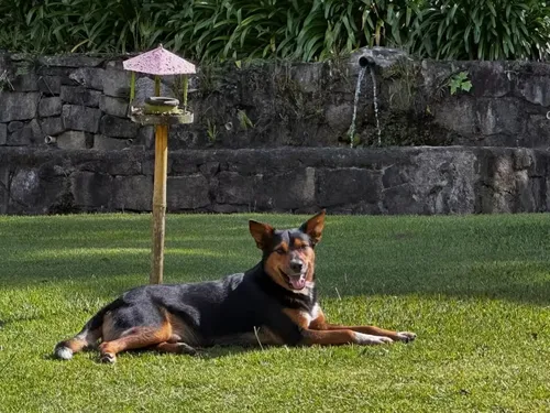 
					Solteiro, Marcello Novaes se isola em sítio e exibe rotina após novela
				
				