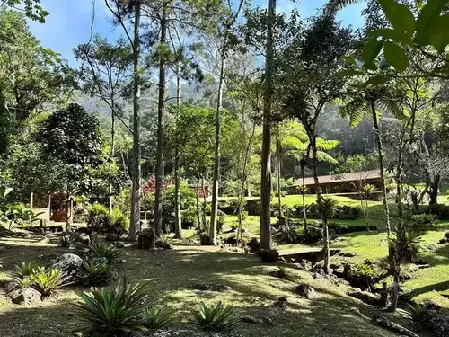 
					Solteiro, Marcello Novaes se isola em sítio e exibe rotina após novela
				
				