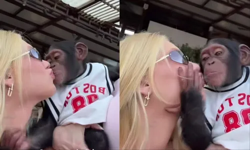 
					Vini Jr é alvo de racismo após Virginia posar com macacos em Dubai
				
				