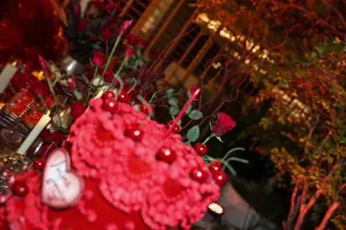 
					Viviane Araújo comemora 51 anos com marido gato e presença inesperada
				
				