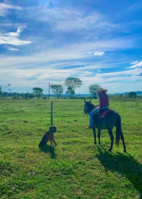 
					Ana Castela resgata fotos da adolescência em desabafo: 'Ninguém via'
				
				